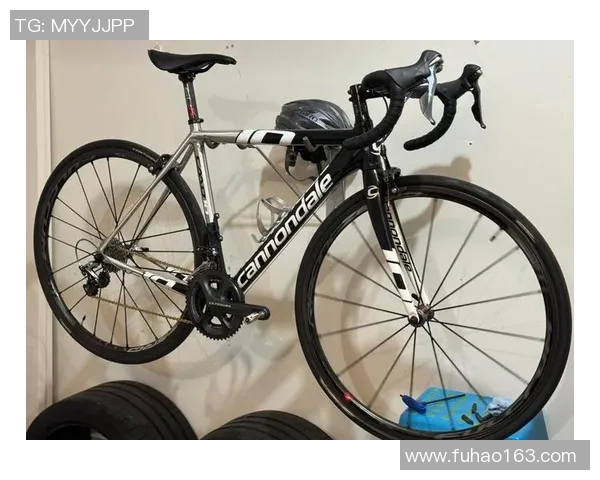 《探索自行车文化的魅力与发展：从休闲骑行到竞技运动的全景视角》