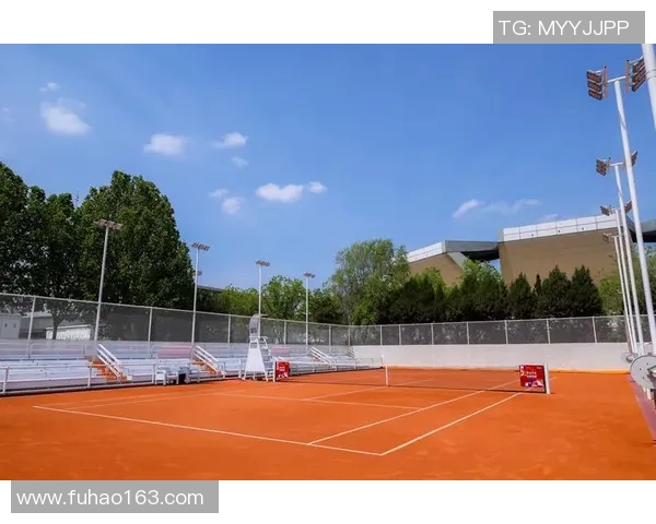 南京网球队的速度探讨与提升之路聚焦网球运动的未来发展