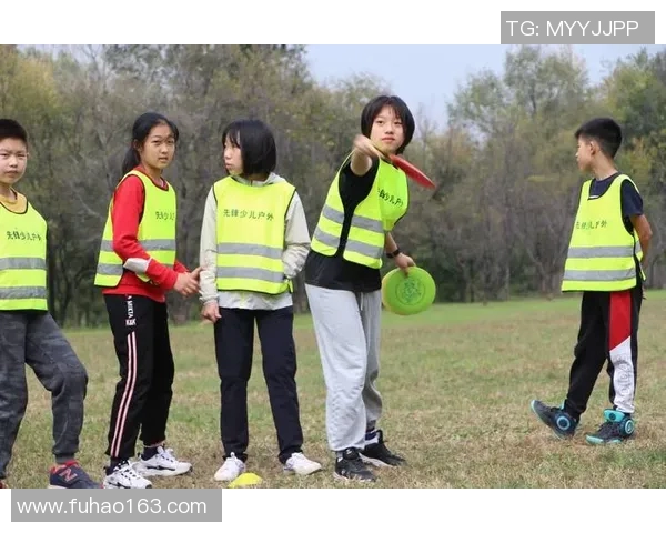 南京飞盘队运营分析：成功经验与面临挑战的全面探讨