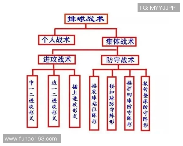 深圳排球队的战术解析与控制能力深度剖析