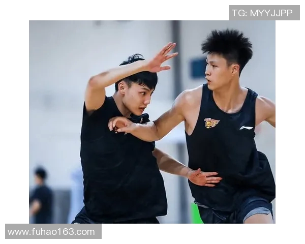 深圳篮球队个人能力变革引发热议球迷期待新赛季表现提升