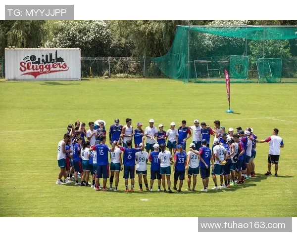 深圳飞盘队实力解析：探索这支新兴团队的成长与挑战