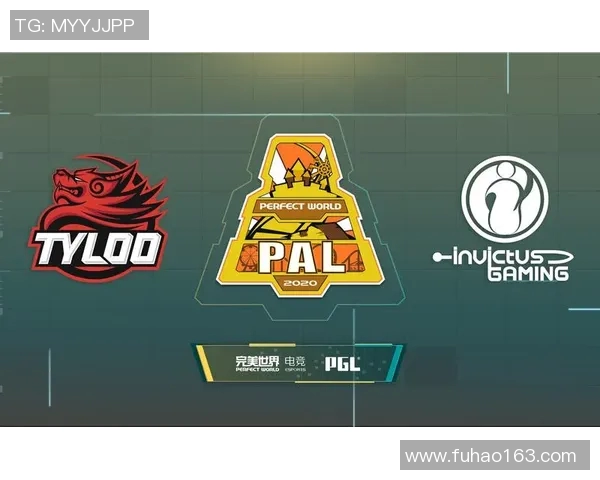 聚焦CSGOIG战队的强大实力与战术解析探讨